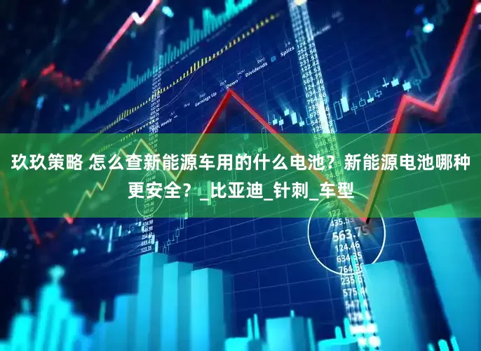 玖玖策略 怎么查新能源车用的什么电池？新能源电池哪种更安全？_比亚迪_针刺_车型