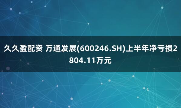 久久盈配资 万通发展(600246.SH)上半年净亏损2804.11万元