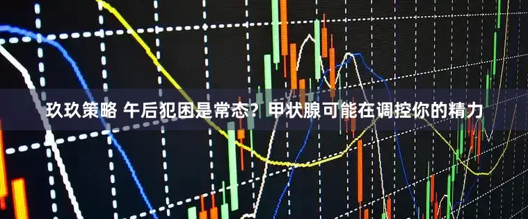 玖玖策略 午后犯困是常态？甲状腺可能在调控你的精力